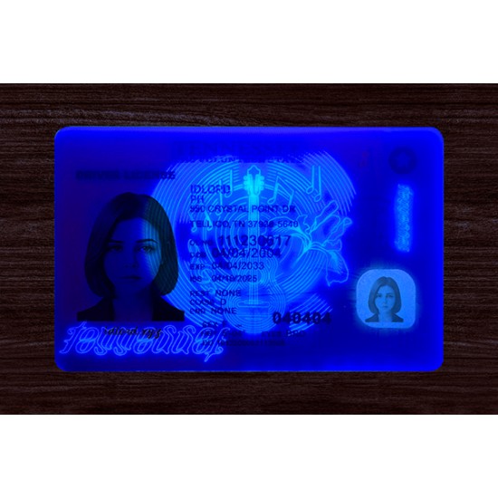 Tennessee (TN) Fake IDs  (2025 Version)
